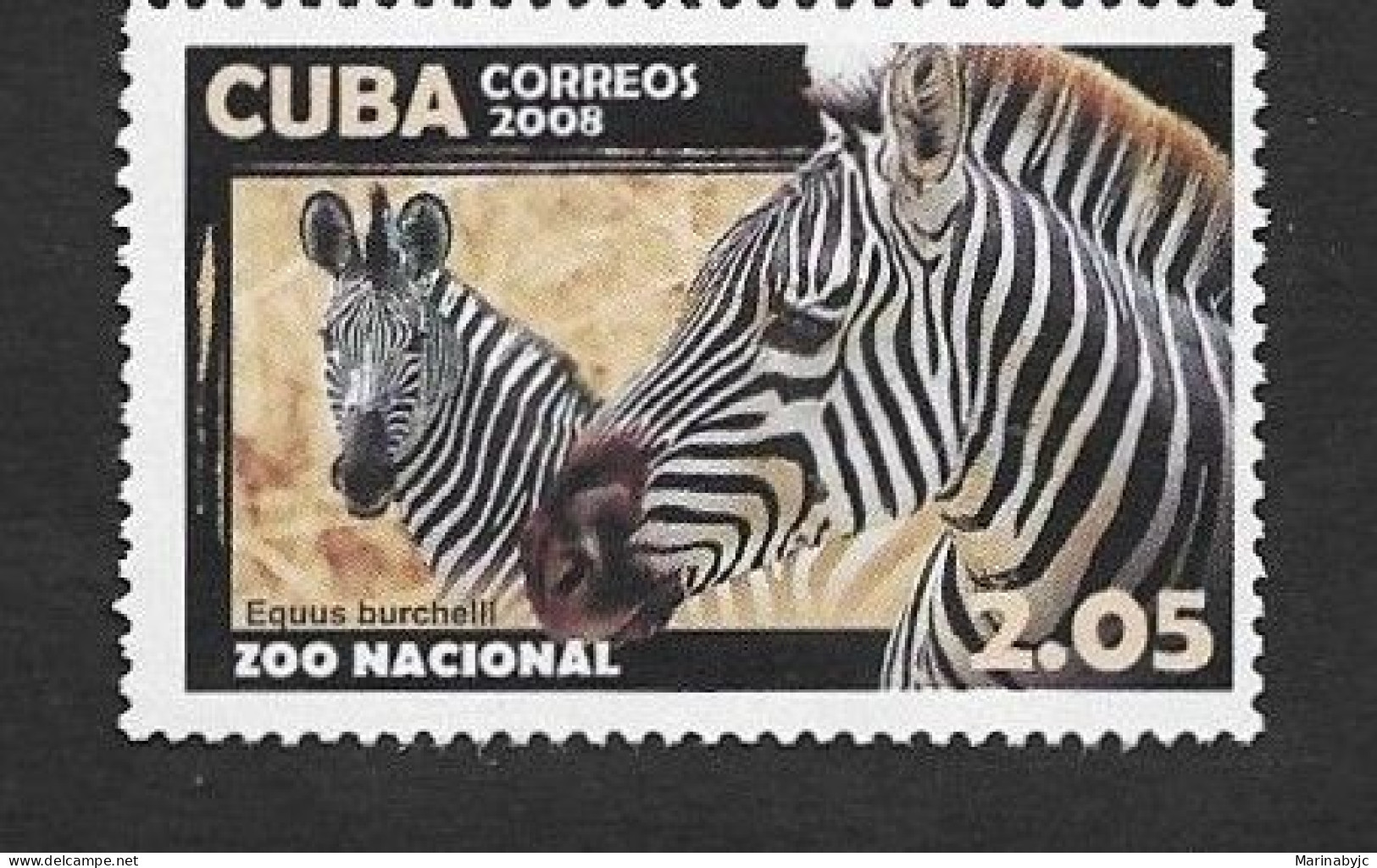 SD)2008 CUBA  FAUNA OF THE HAVANA ZOO, BURCHELL'S ZEBRA, MNH - Other & Unclassified