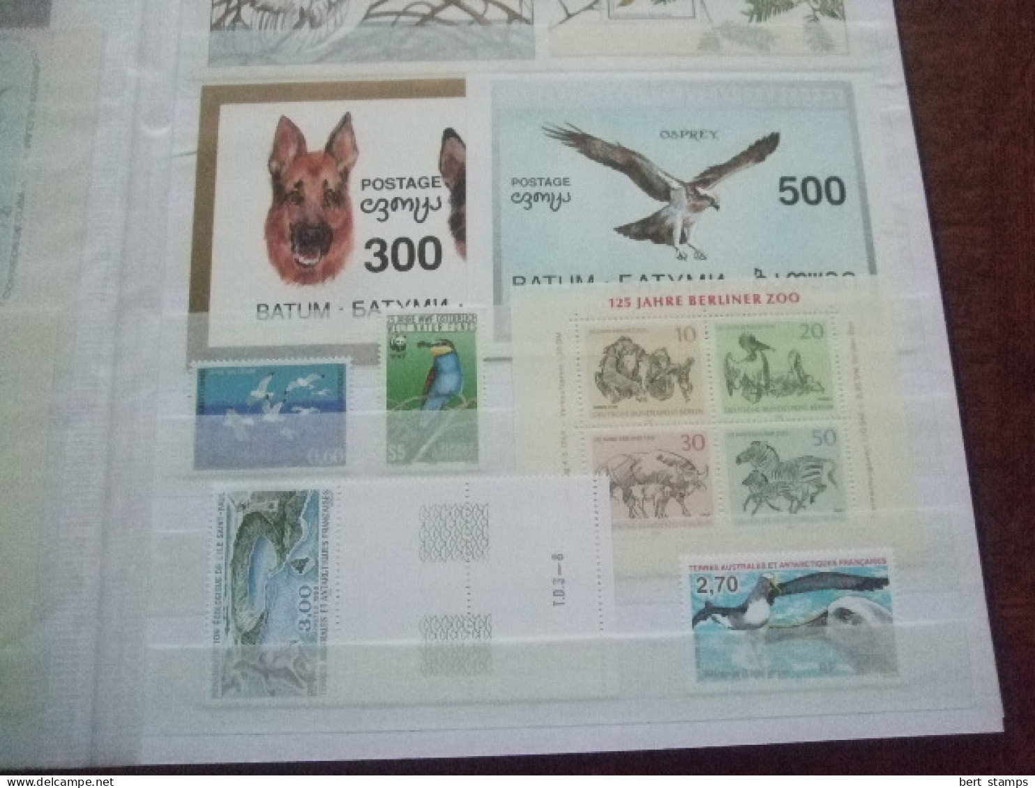 Birds Nice Collection In Stockbook MNH - Collezioni & Lotti