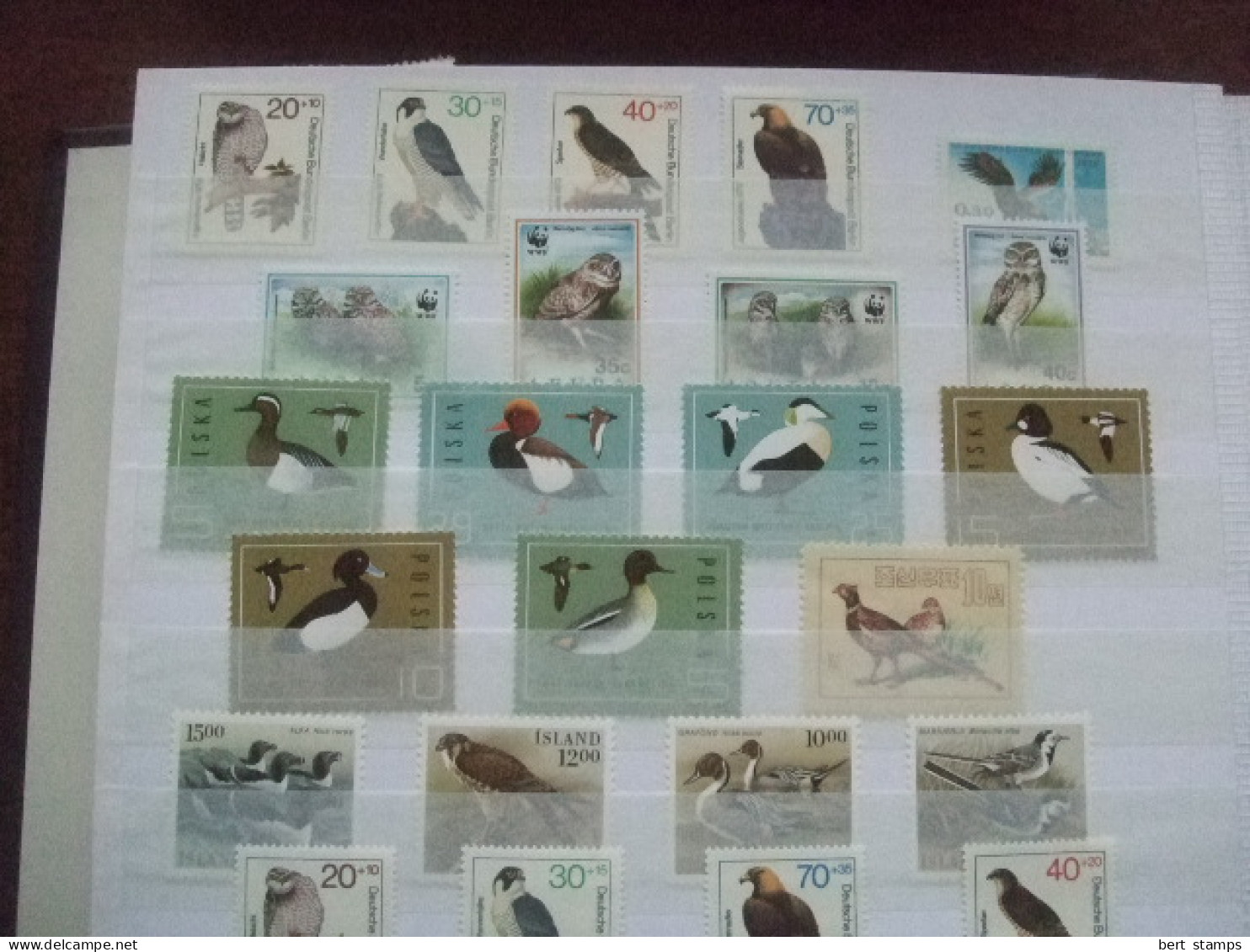 Birds nice collection in stockbook MNH