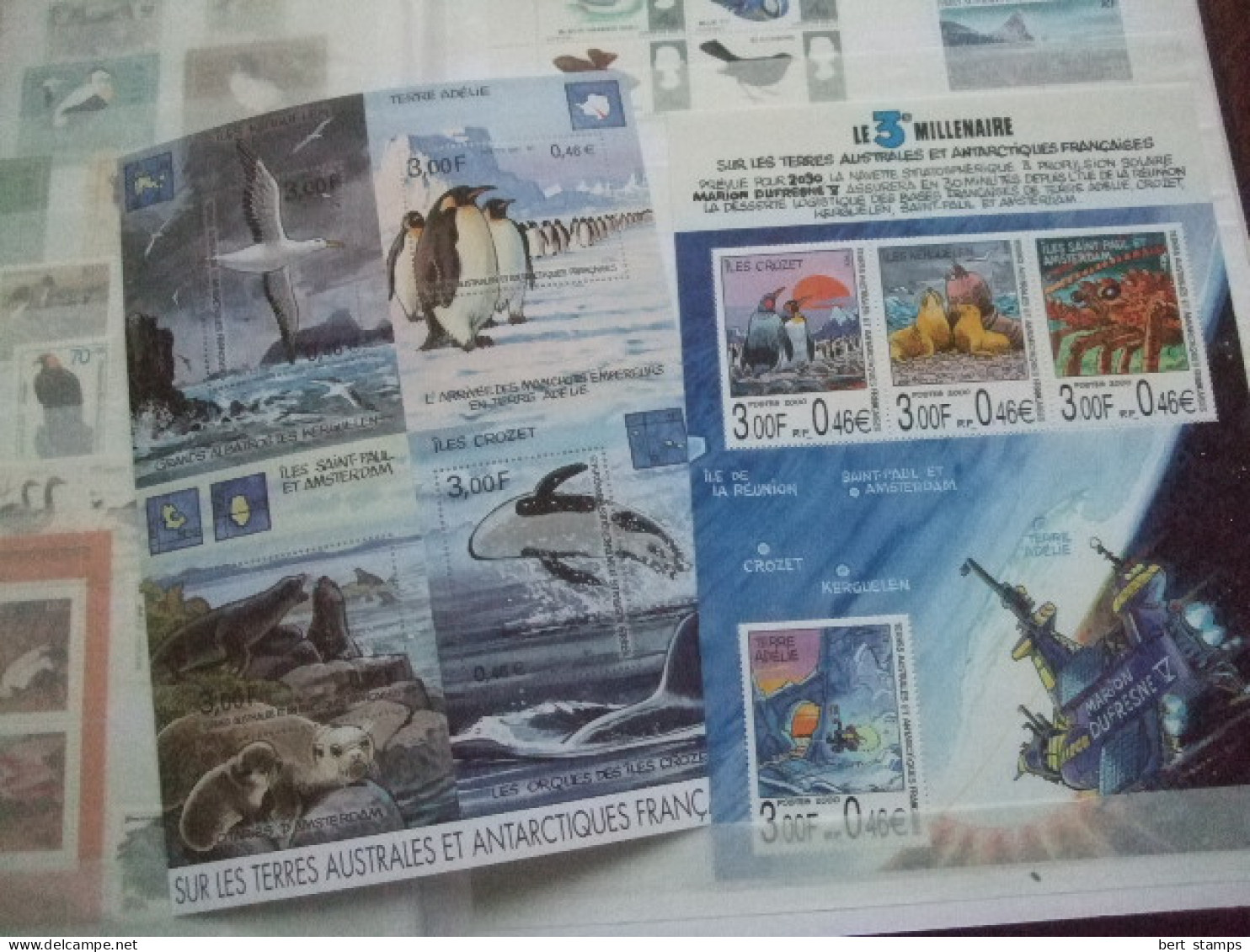 Birds nice collection in stockbook MNH