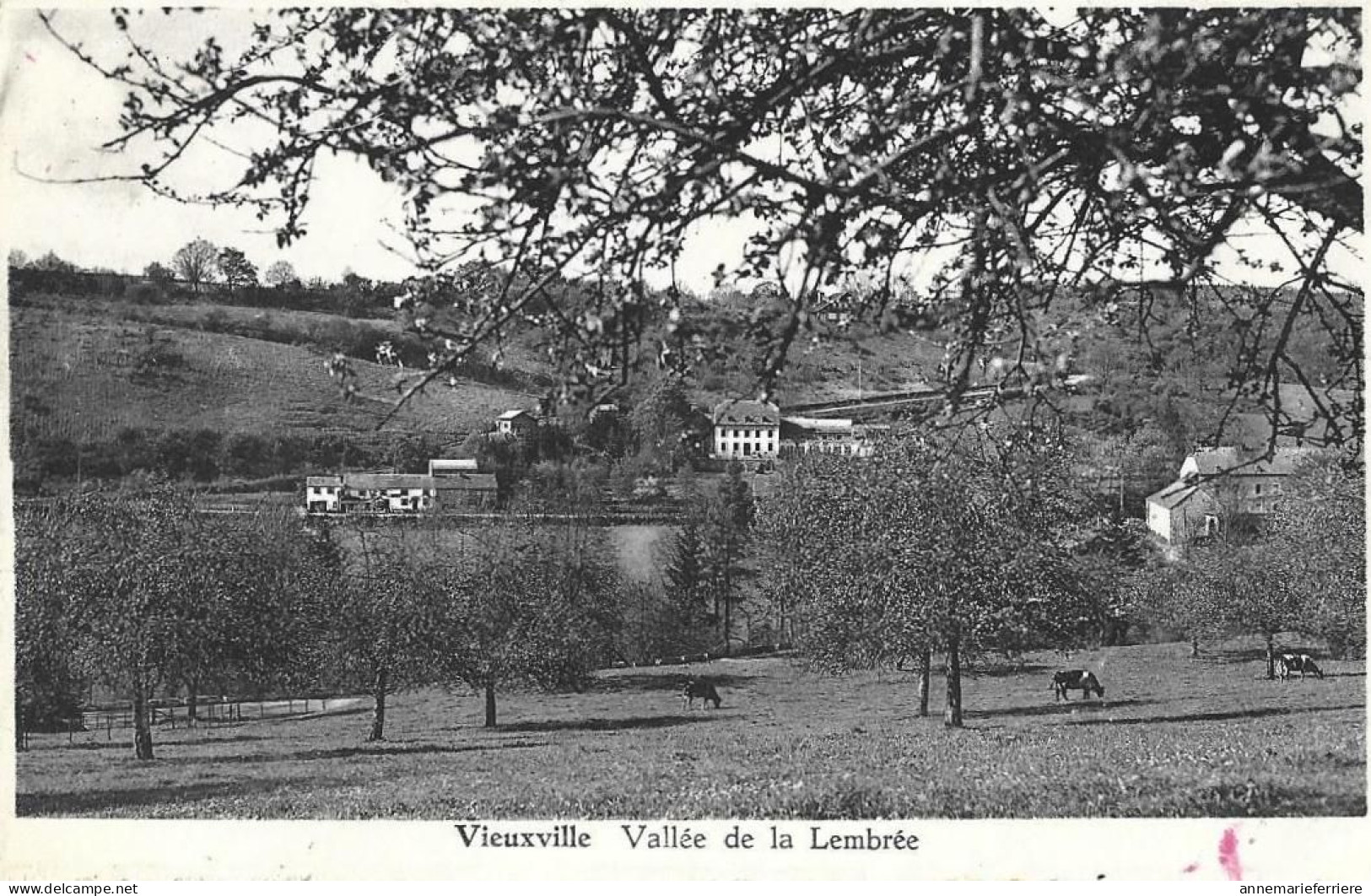 Vieuxville - Vallée De La Lembrée - Ferrières