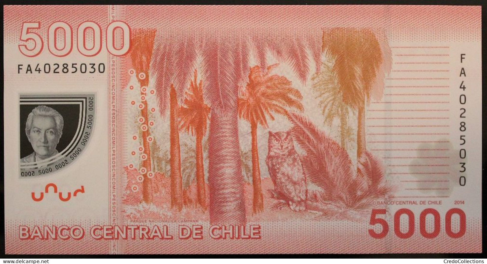 Chili - 5000 Pesos - 2014 - PICK 163e - NEUF - Chili
