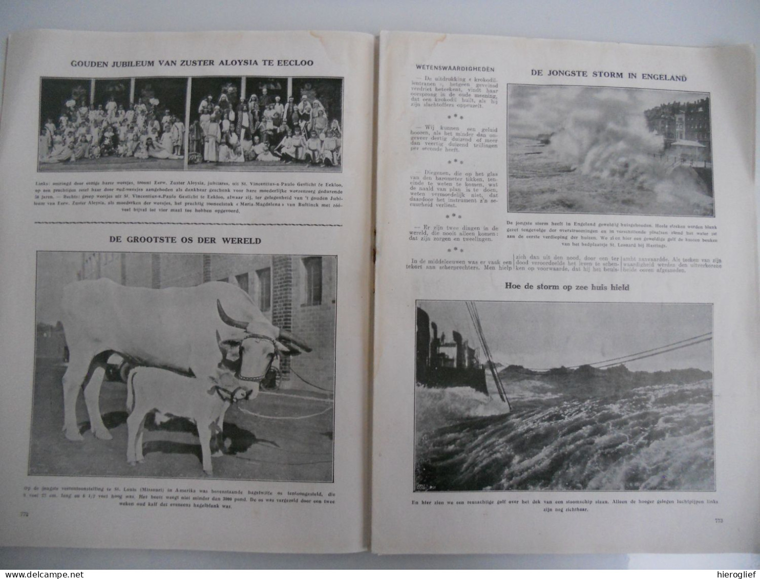 Ons Volk Ontwaakt 08.12.1929 Sint Ncolaas / EH De Wolf / Jubileum Zuster Aloysia Gesticht Wezen Eeklo / Taalgrens België - Geschiedenis