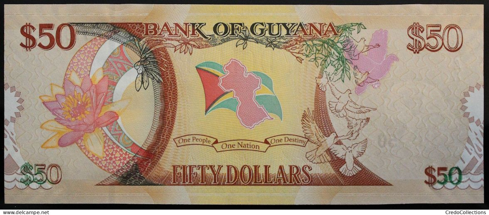 Guyana - 50 Dollars - 2016 - PICK 41a - NEUF - Guyana