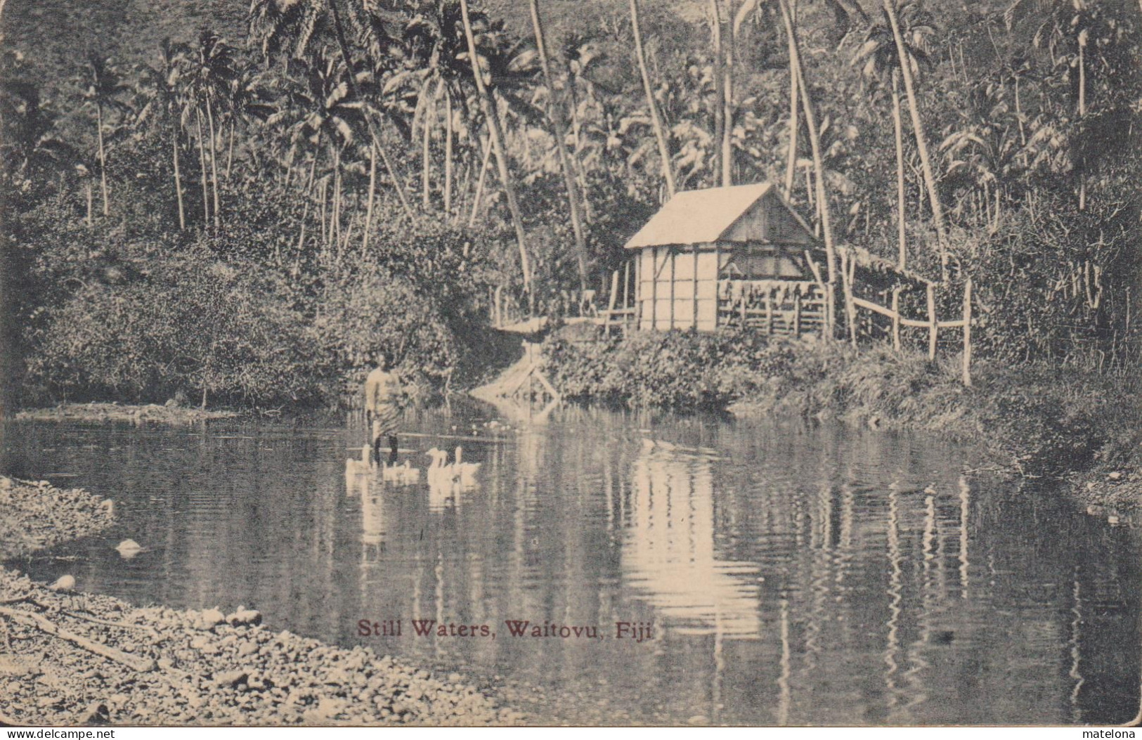 FIDJI STILL WATERS WAITOVU FIJI - Fiji