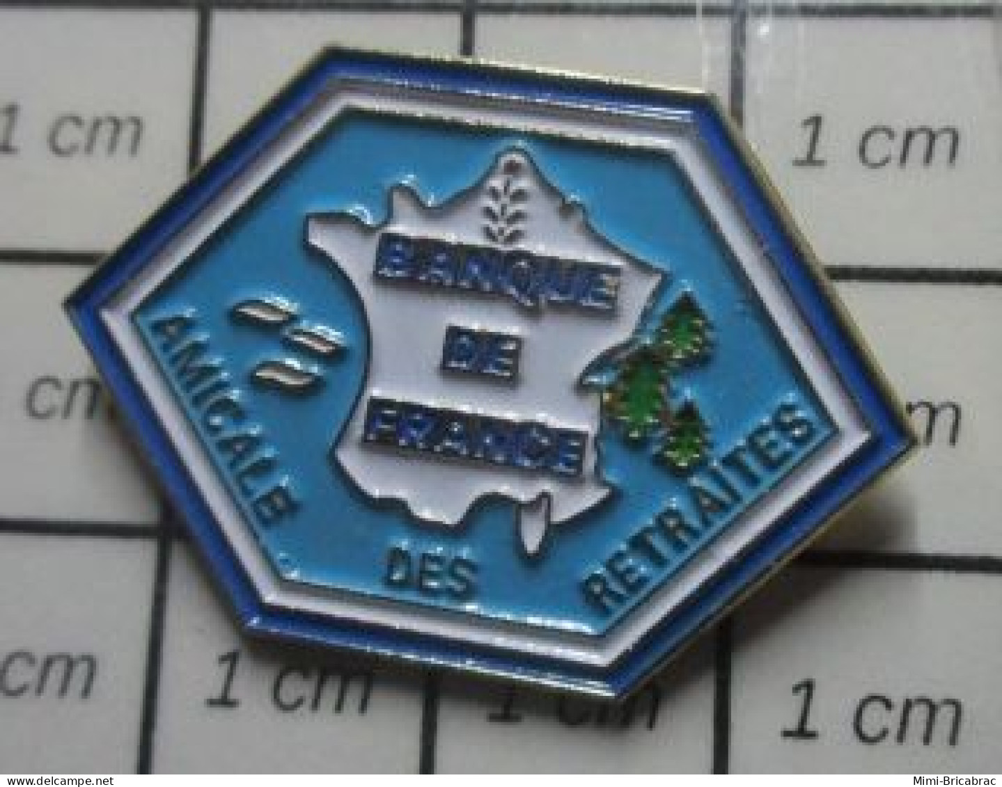 1521 Pin's Pins / Beau Et Rare / BANQUES / BANQUE DE FRANCE AMICALE DES RETRAITéS - Banken