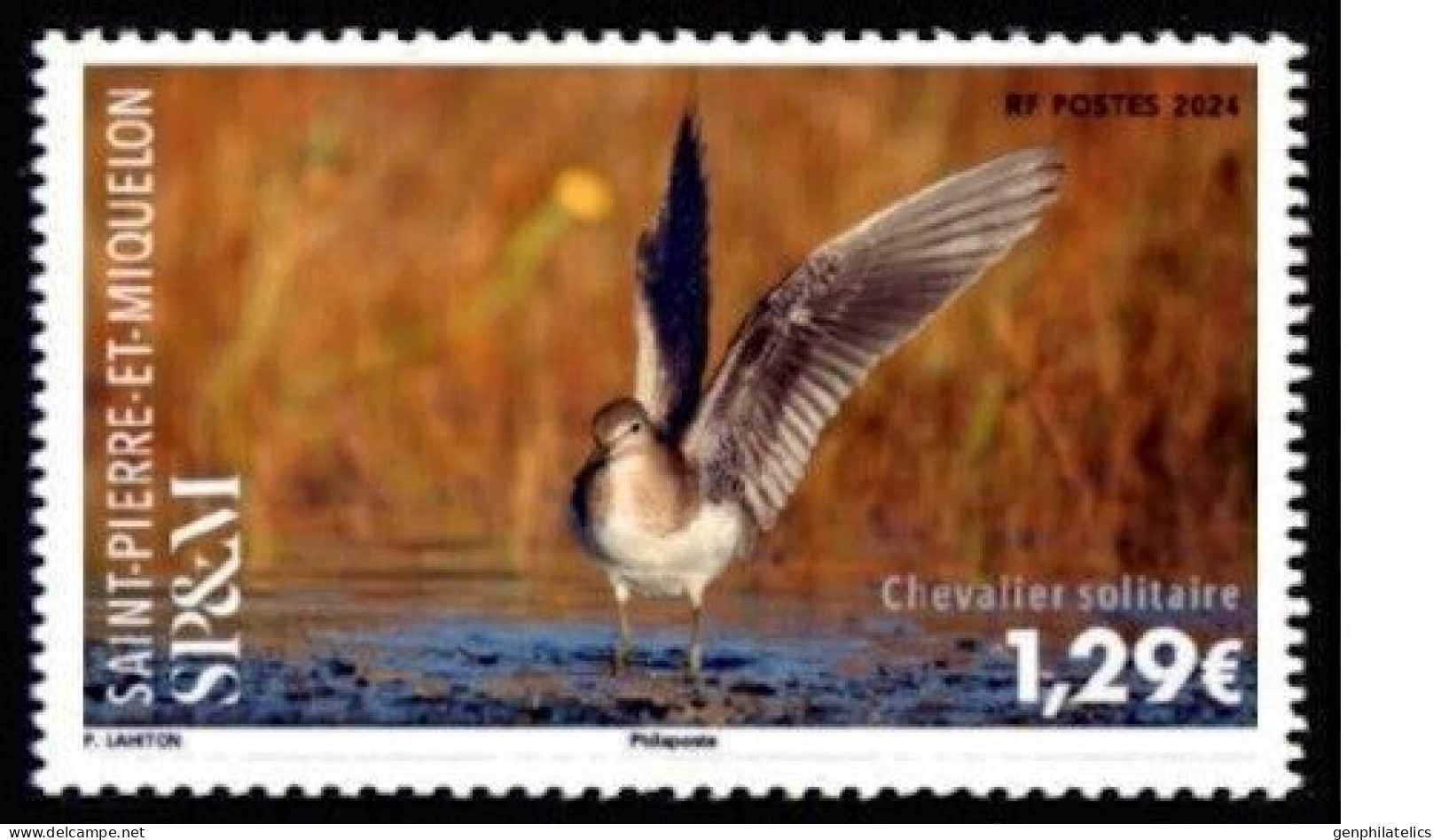 SP&M/St Pierre Et Miquelon 2024 FAUNA Animals BIRD - Fine Stamp MNH - Nuevos