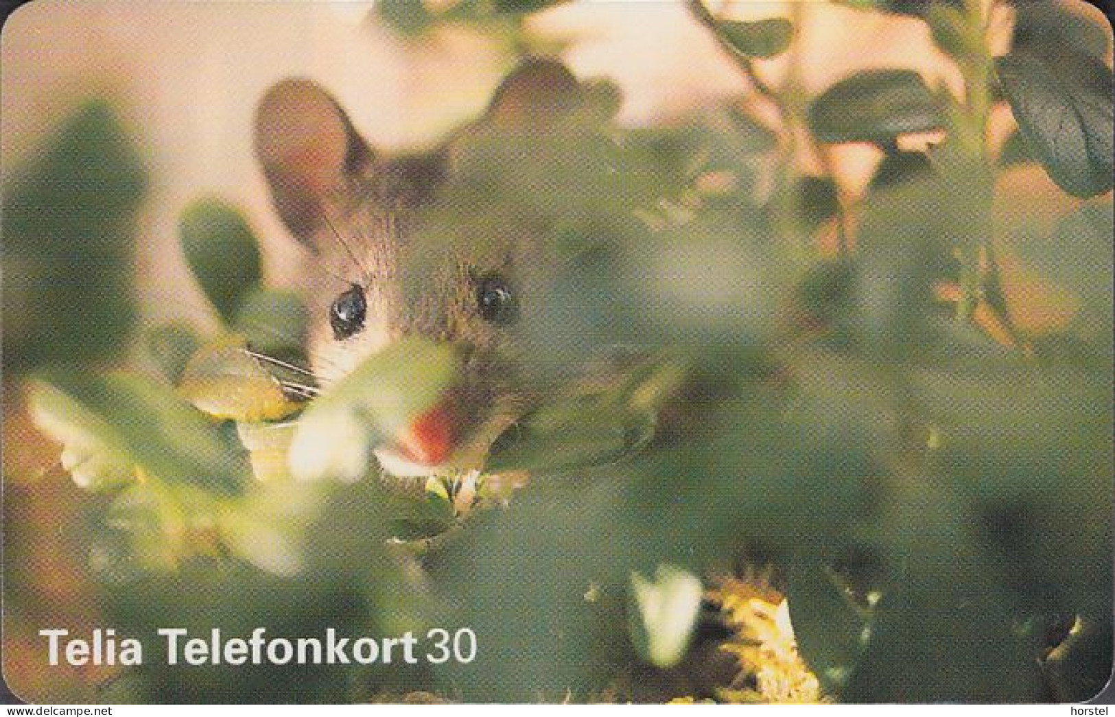 Schweden Chip 205 Landmaus - Country Mouse (60111/224) 1613377 - Zweden