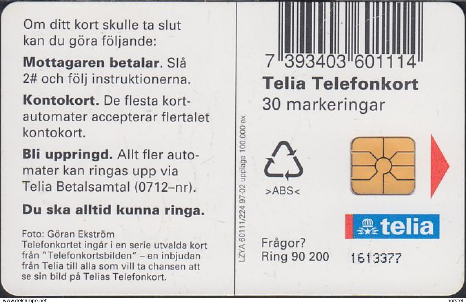 Schweden Chip 205 Landmaus - Country Mouse (60111/224) 1613377 - Sweden