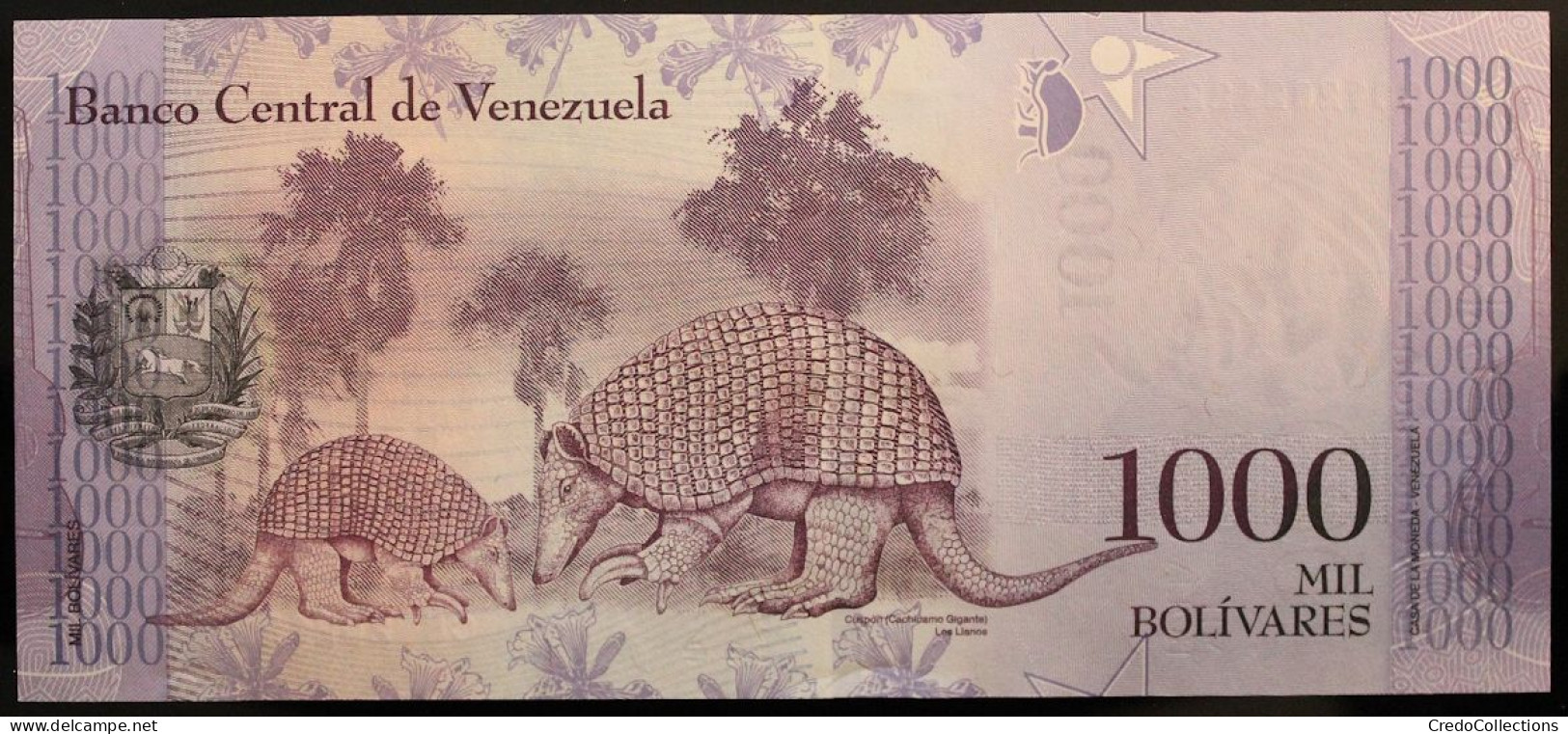 Venezuela - 1000 Bolivares - 2017 - PICK 95b - NEUF - Venezuela