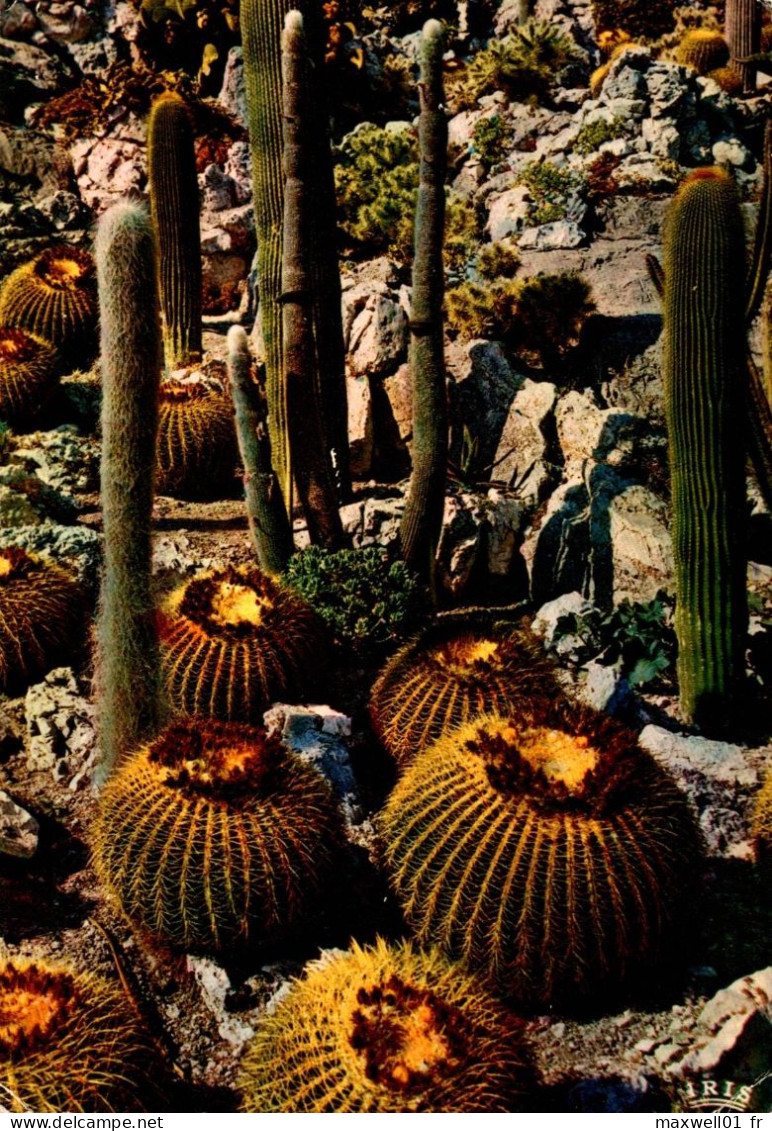 N3 - Reflets De La Côte D'Azur - Jardin Exotique - Cactussen