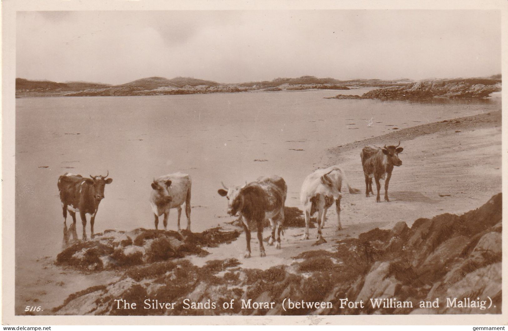 THE SILVER SANDS OF MORAY - Inverness-shire