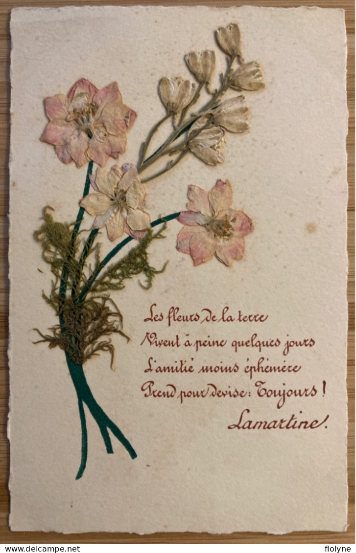Herbier - série de 10 cpa - fleurs plantes flowers - poèmes poésie