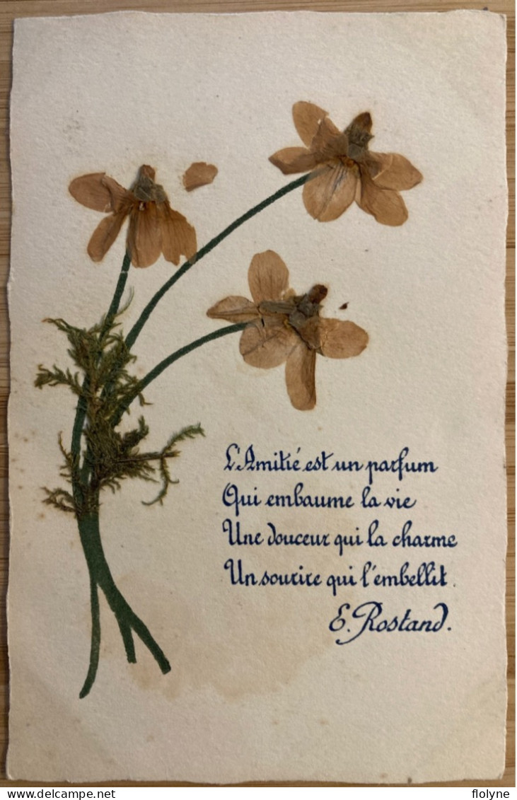 Herbier - série de 10 cpa - fleurs plantes flowers - poèmes poésie