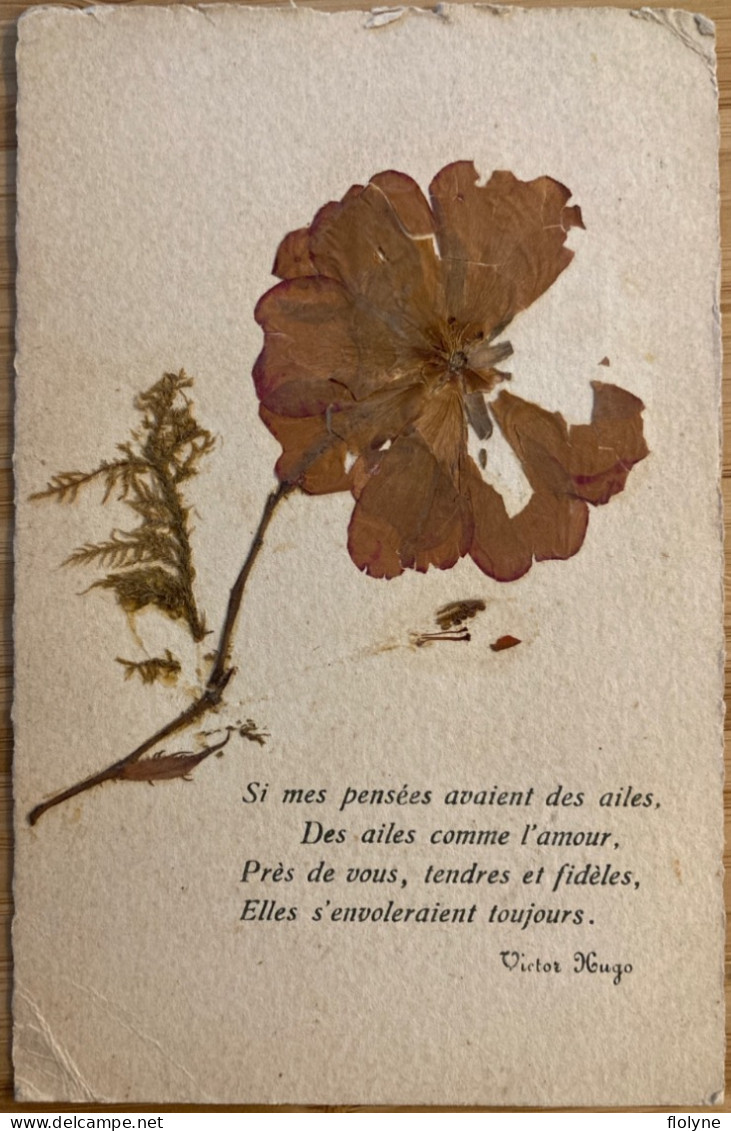 Herbier - série de 10 cpa - fleurs plantes flowers - poèmes poésie