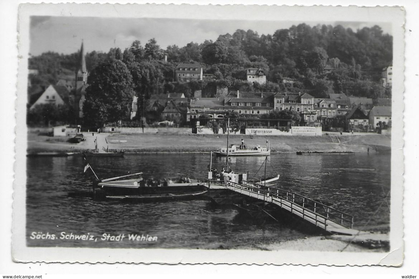 8306  WEHLEN / SÄCHS. SCHWEIZ  -    FÄHRE  1958 - Wehlen