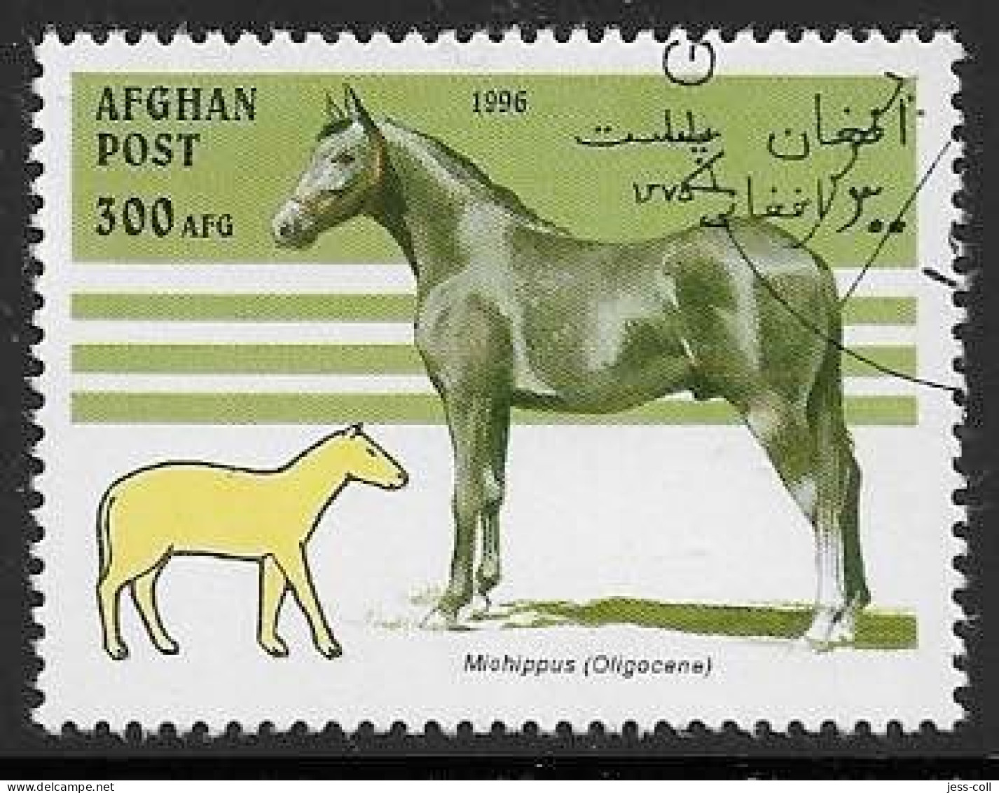 Yvert 1513 - 300 Afg Miohippus (Oligocène) - Oblitéré - Afghanistan