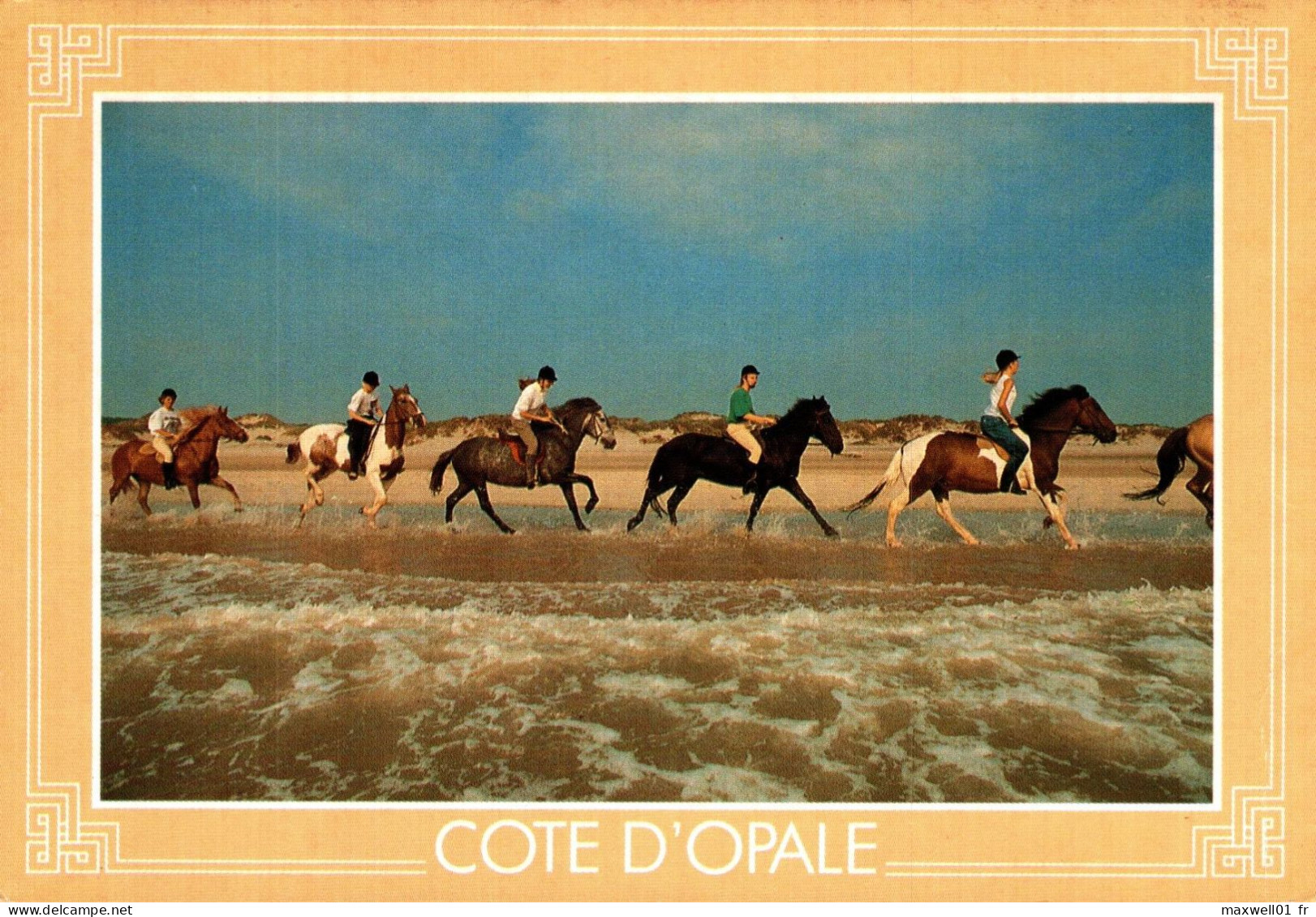 N4 - Côte D'Opale - Littoral Du Nord De La France - Promenade équestre Sur La Plage - Chevaux