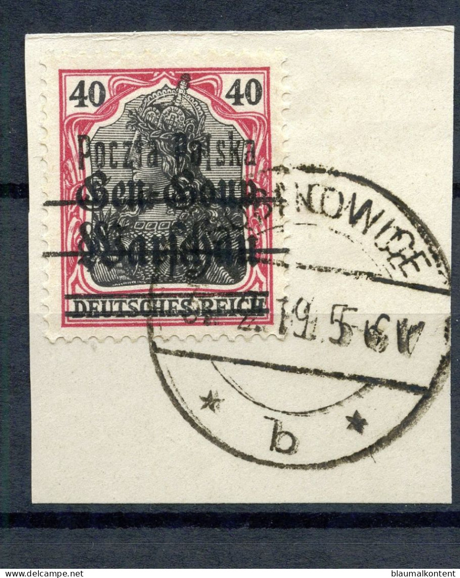 Poland -Pologne-Polen Fischer Nr 15 Error  B 3---L Unten - Usados