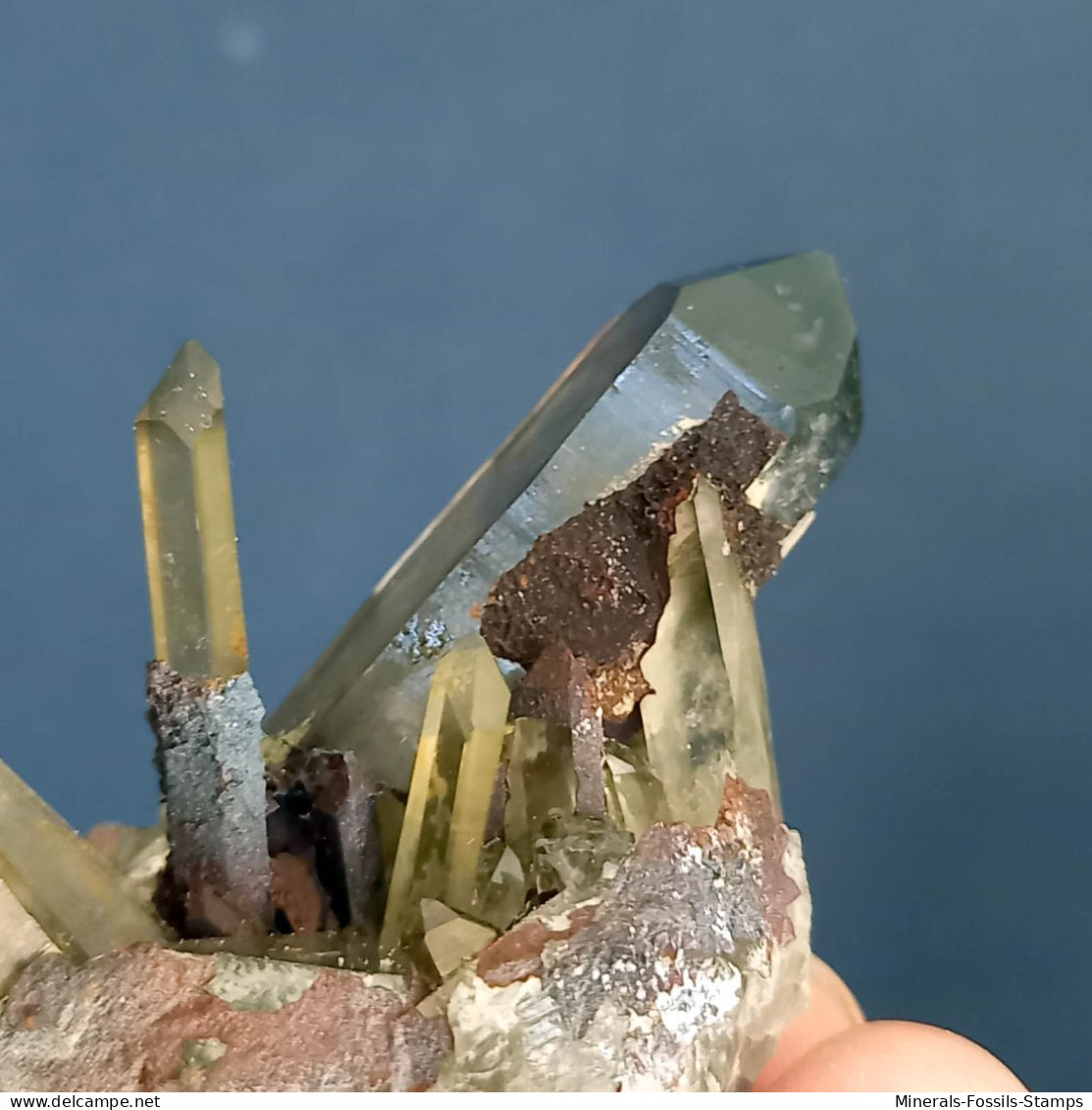 #16 - SPLENDIDO QUARZO MORIONE cristalli (Kara-Oba W deposit, Moiynkum, Jambyl Region, Kazakhstan)