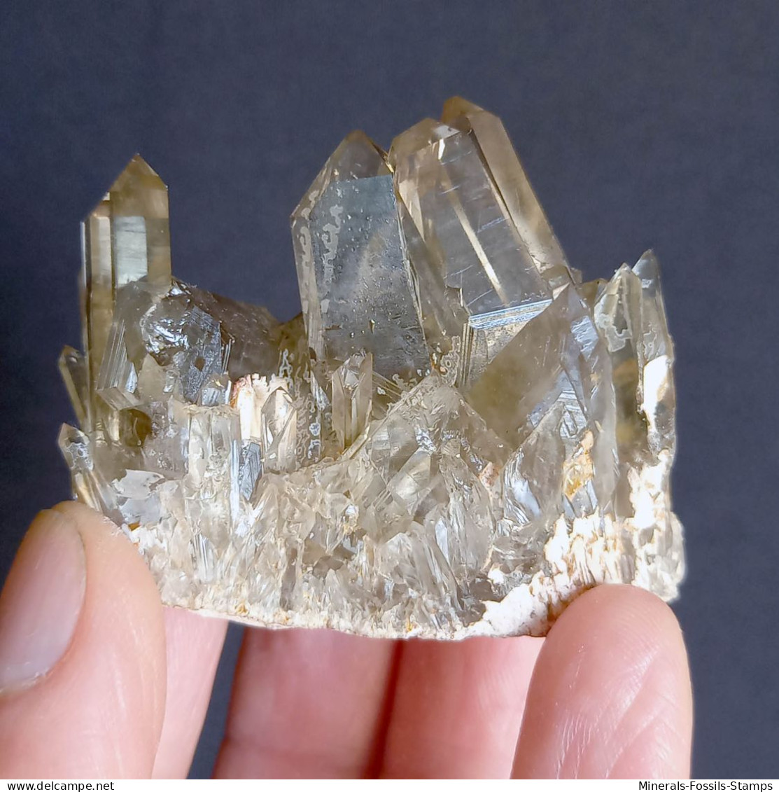 #22 - SPLENDIDO QUARZO MORIONE Cristalli (Kara-Oba W Deposit, Moiynkum, Jambyl Region, Kazakhstan) - Minerali