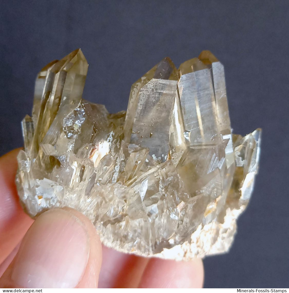 #22 - SPLENDIDO QUARZO MORIONE Cristalli (Kara-Oba W Deposit, Moiynkum, Jambyl Region, Kazakhstan) - Minerali