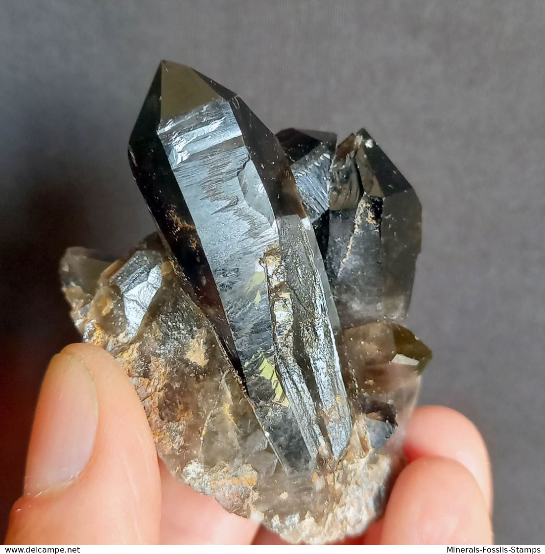 #23 - SPLENDIDO QUARZO MORIONE Cristalli (Kara-Oba W Deposit, Moiynkum, Jambyl Region, Kazakhstan) - Minéraux