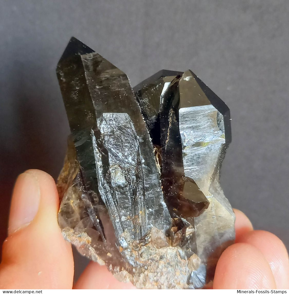 #23 - SPLENDIDO QUARZO MORIONE Cristalli (Kara-Oba W Deposit, Moiynkum, Jambyl Region, Kazakhstan) - Minerales