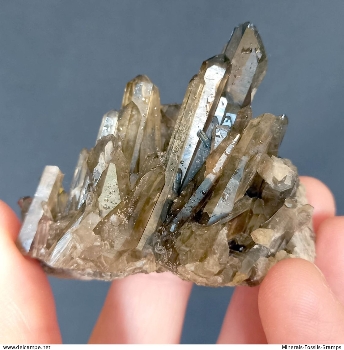 #29 - Beaux Cristaux De QUARTZ MORIONE (Kara-Oba W Deposit, Moiynkum, Jambyl Region, Kazakhstan) - Minerales
