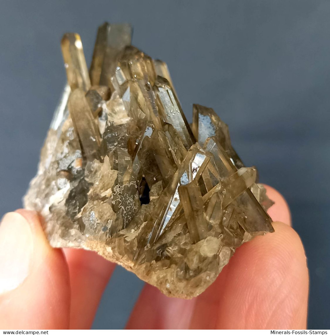 #29 - Beaux Cristaux De QUARTZ MORIONE (Kara-Oba W Deposit, Moiynkum, Jambyl Region, Kazakhstan) - Minéraux