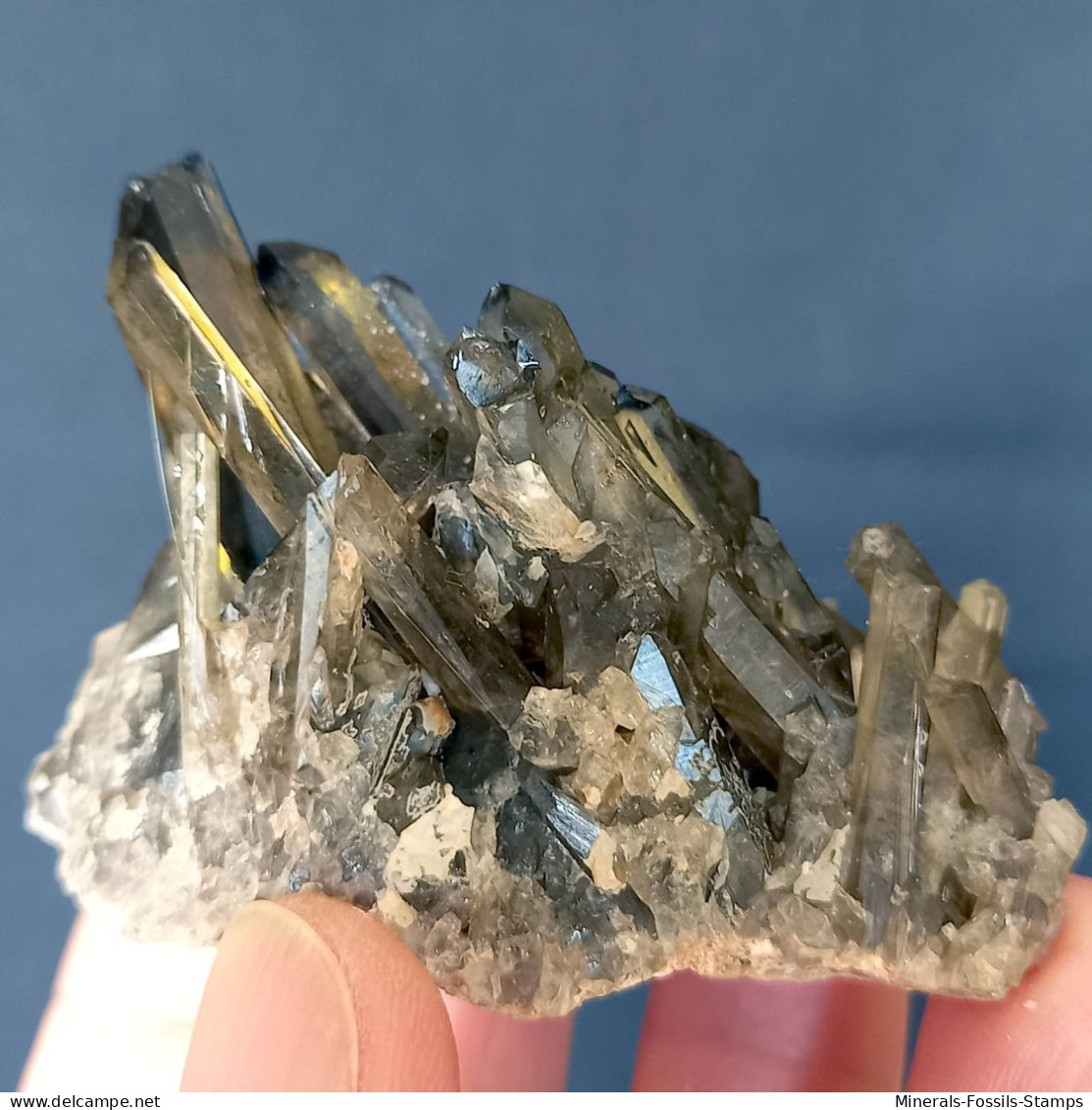 #29 - Beaux Cristaux De QUARTZ MORIONE (Kara-Oba W Deposit, Moiynkum, Jambyl Region, Kazakhstan) - Minerales