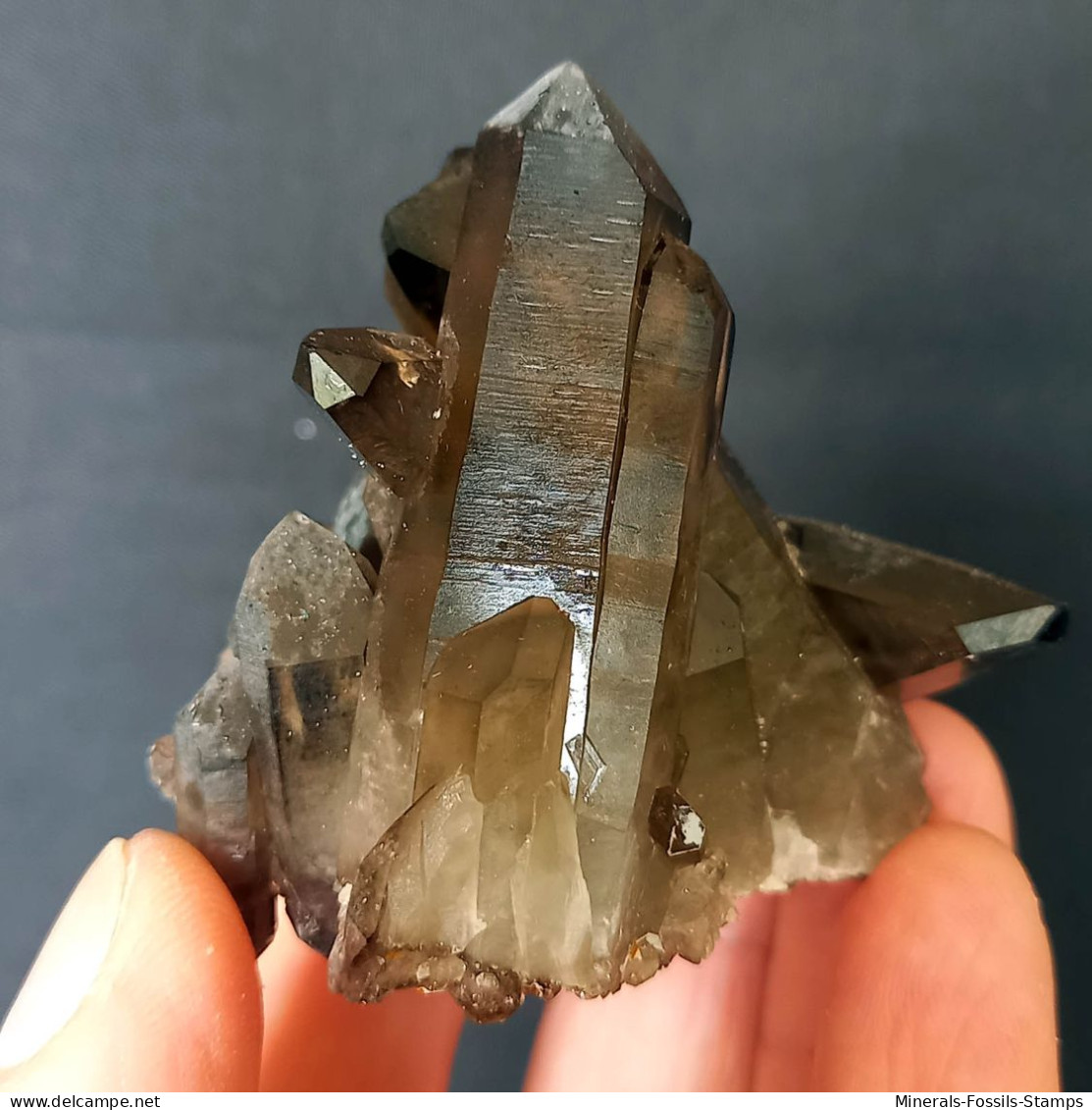 #30 - Beaux Cristaux De QUARTZ MORIONE (Kara-Oba W Deposit, Moiynkum, Jambyl Region, Kazakhstan) - Minéraux