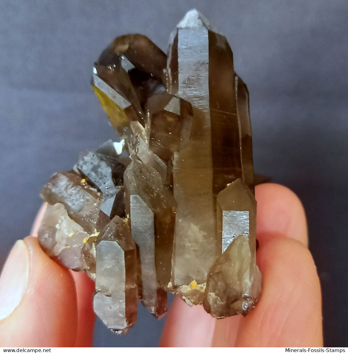 #30 - Beaux Cristaux De QUARTZ MORIONE (Kara-Oba W Deposit, Moiynkum, Jambyl Region, Kazakhstan) - Minéraux