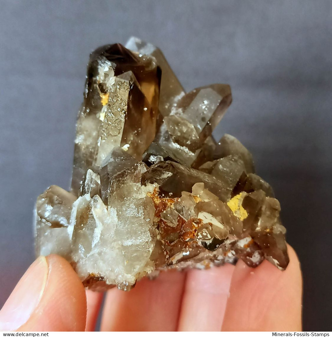 #30 - Beaux cristaux de QUARTZ MORIONE (Kara-Oba W deposit, Moiynkum, Jambyl Region, Kazakhstan)