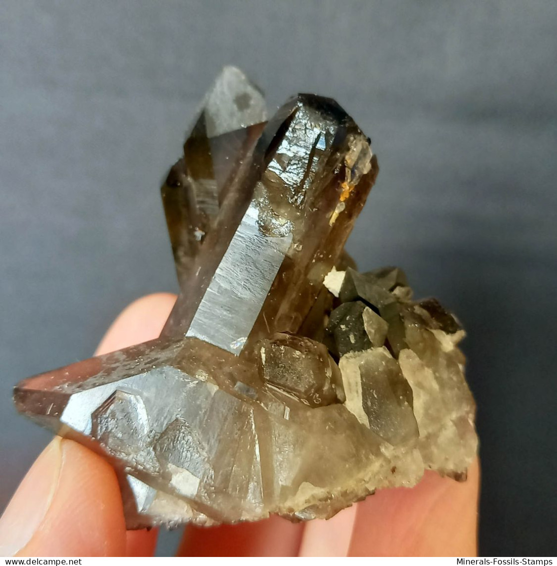 #30 - Beaux cristaux de QUARTZ MORIONE (Kara-Oba W deposit, Moiynkum, Jambyl Region, Kazakhstan)