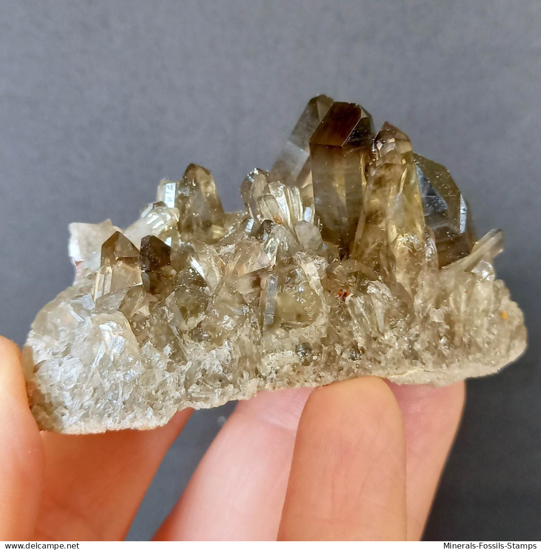 #31 - Beaux Cristaux De QUARTZ MORIONE (Kara-Oba W Deposit, Moiynkum, Jambyl Region, Kazakhstan) - Minerales