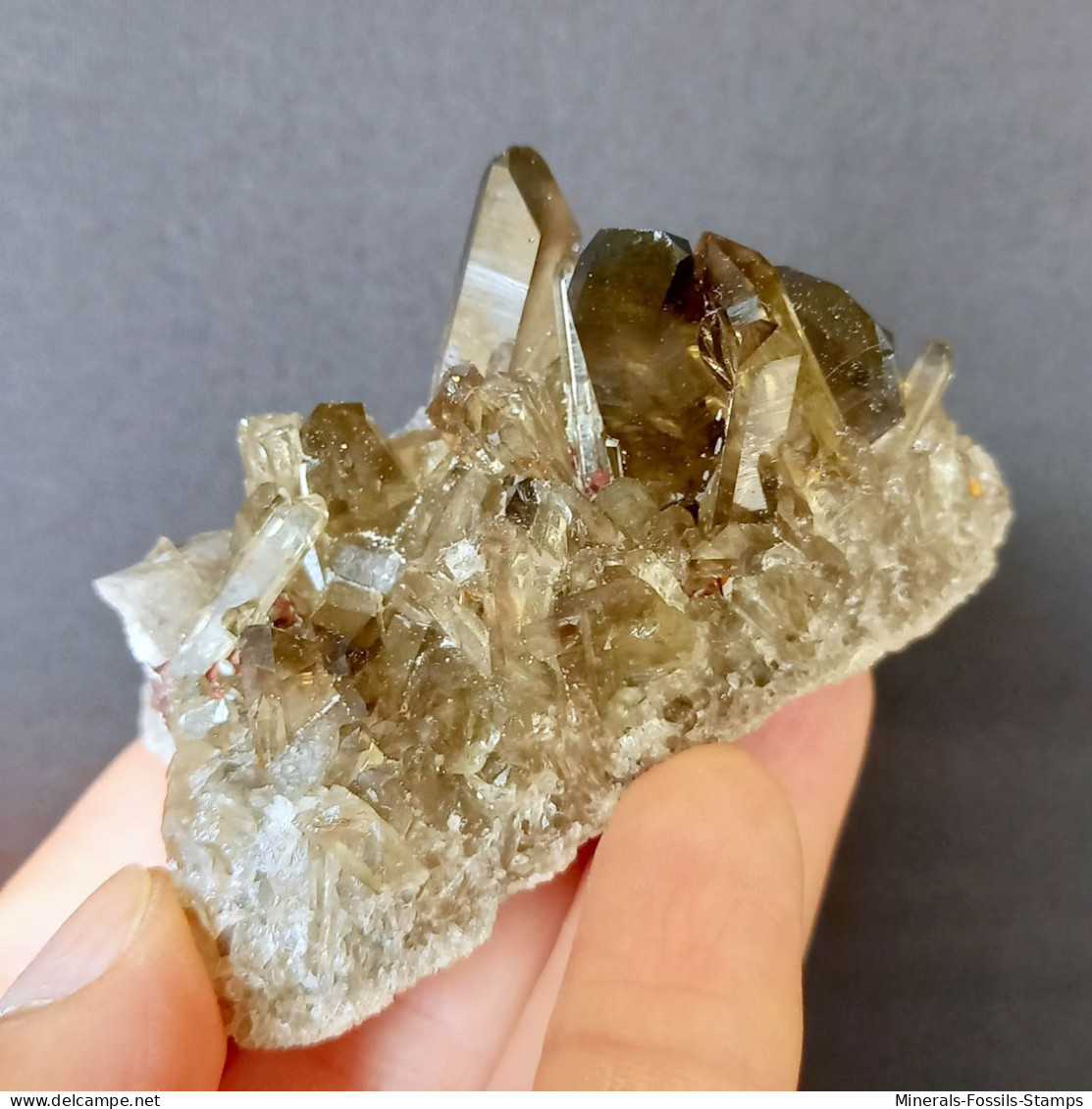 #31 - Beaux Cristaux De QUARTZ MORIONE (Kara-Oba W Deposit, Moiynkum, Jambyl Region, Kazakhstan) - Mineralien