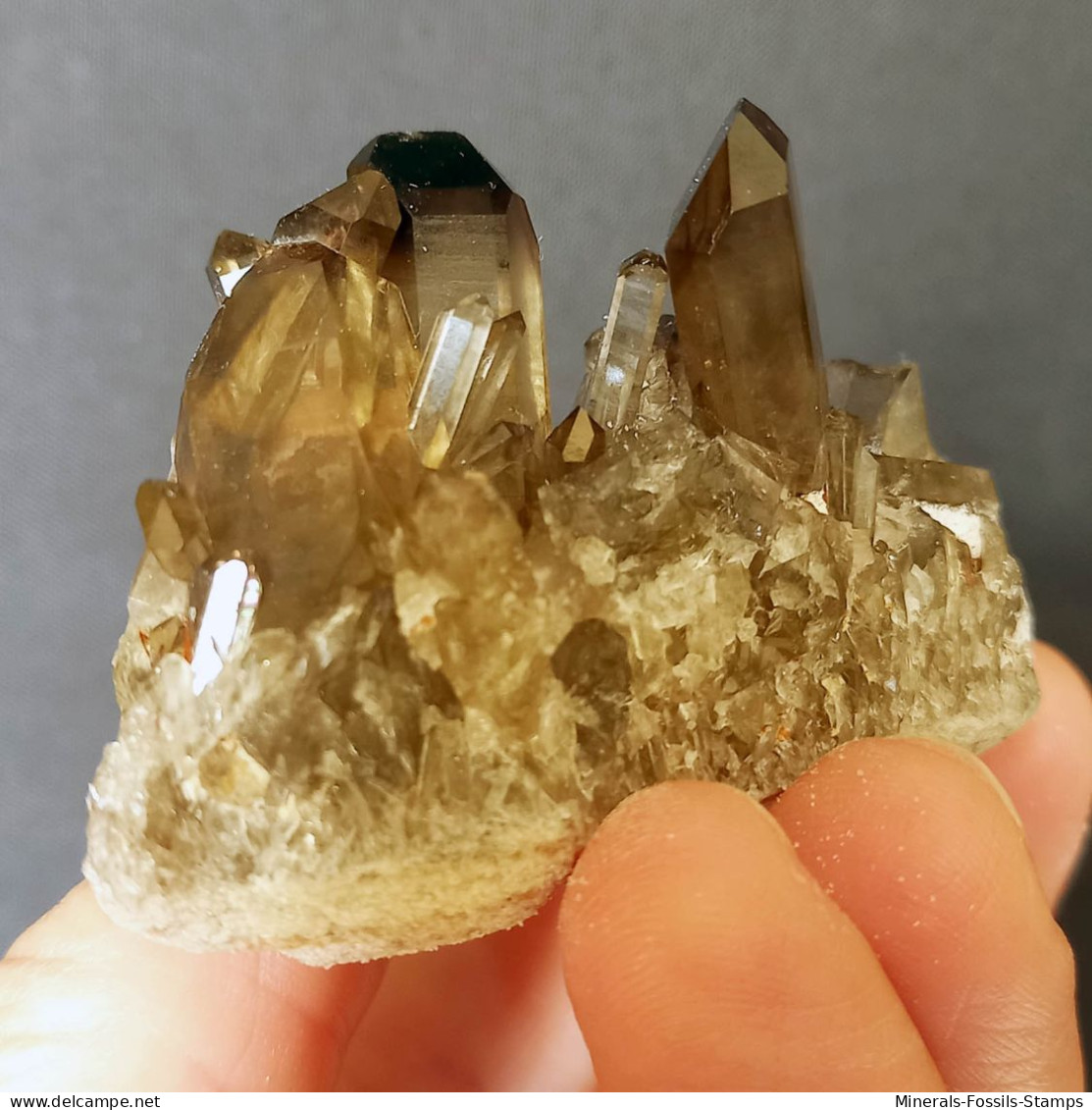 #31 - Beaux Cristaux De QUARTZ MORIONE (Kara-Oba W Deposit, Moiynkum, Jambyl Region, Kazakhstan) - Minerales