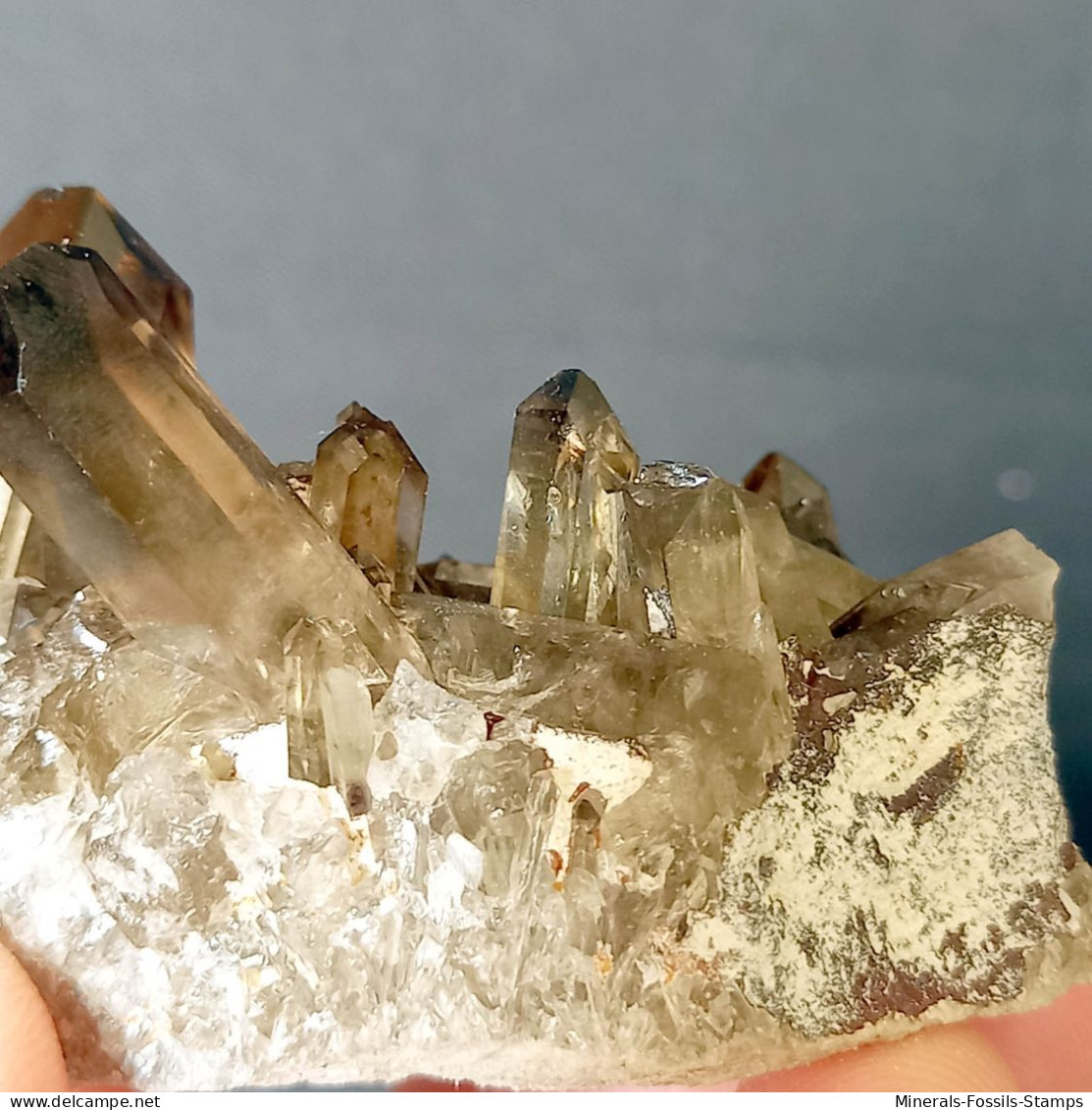 #31 - Beaux cristaux de QUARTZ MORIONE (Kara-Oba W deposit, Moiynkum, Jambyl Region, Kazakhstan)