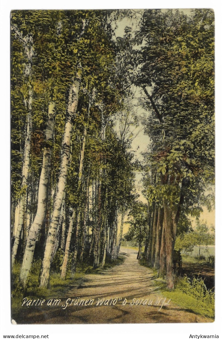 Sorau,Grüner Wald ,   Żary  Zielony Las Ok.1910r. 989H - Neumark