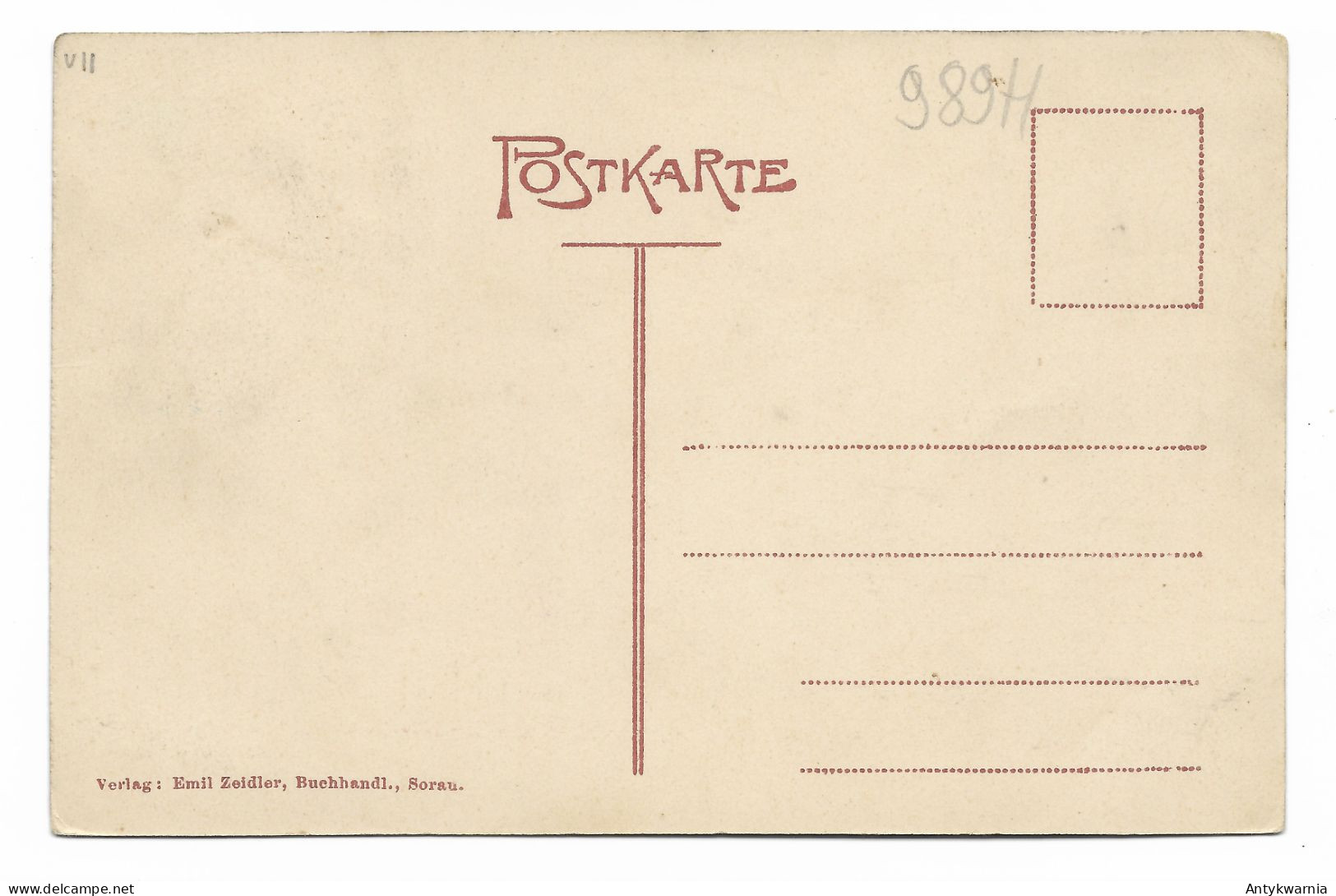 Sorau,Grüner Wald ,   Żary  Zielony Las Ok.1910r. 989H - Neumark