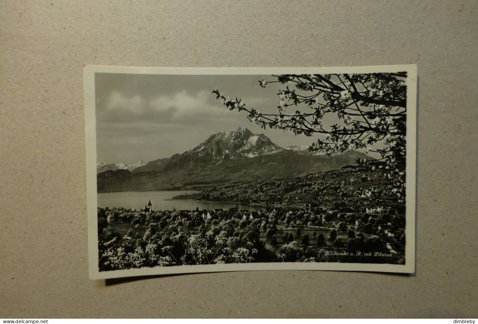 Küssnacht Am Rigi Mit Pilatus   (7100) - Küssnacht