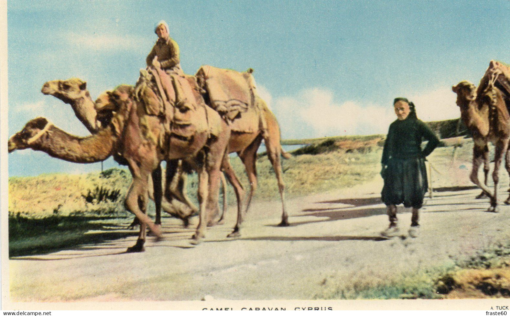 Cyprus - Camel Caravan - Chypre