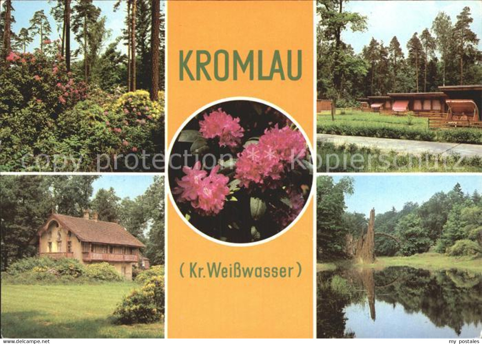 72264360 Kromlau Waldpartie Ferienhaeuser See Blumen  - Gablenz (Oberlausitz)