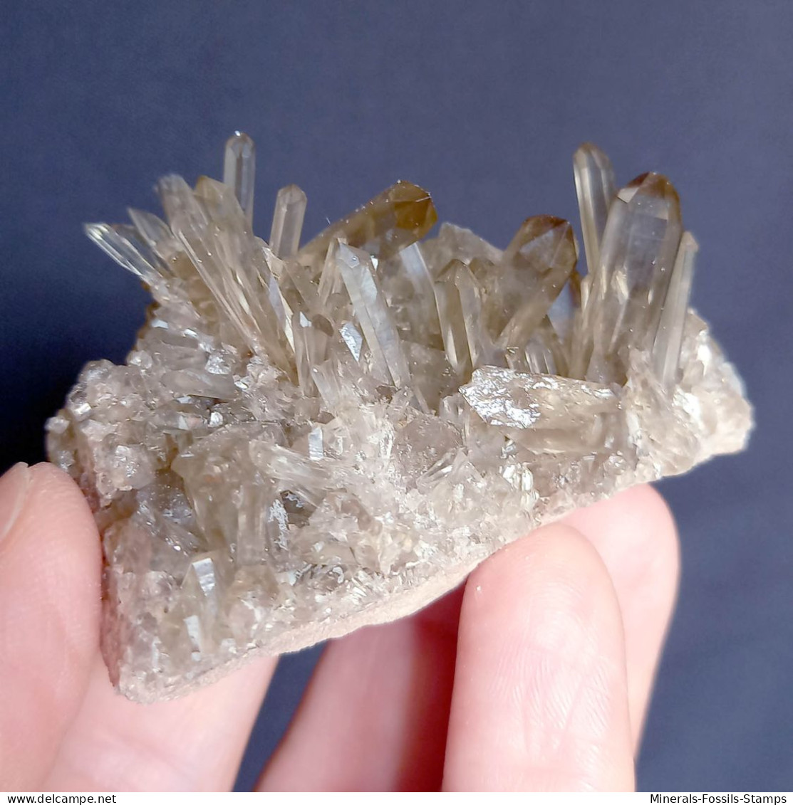 #34 - Beaux Cristaux De QUARTZ MORIONE (Kara-Oba W Deposit, Moiynkum, Jambyl Region, Kazakhstan) - Minéraux