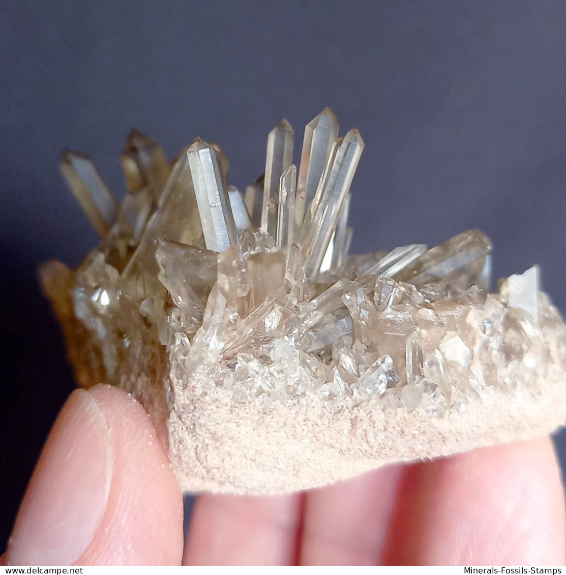 #34 - Beaux Cristaux De QUARTZ MORIONE (Kara-Oba W Deposit, Moiynkum, Jambyl Region, Kazakhstan) - Minéraux