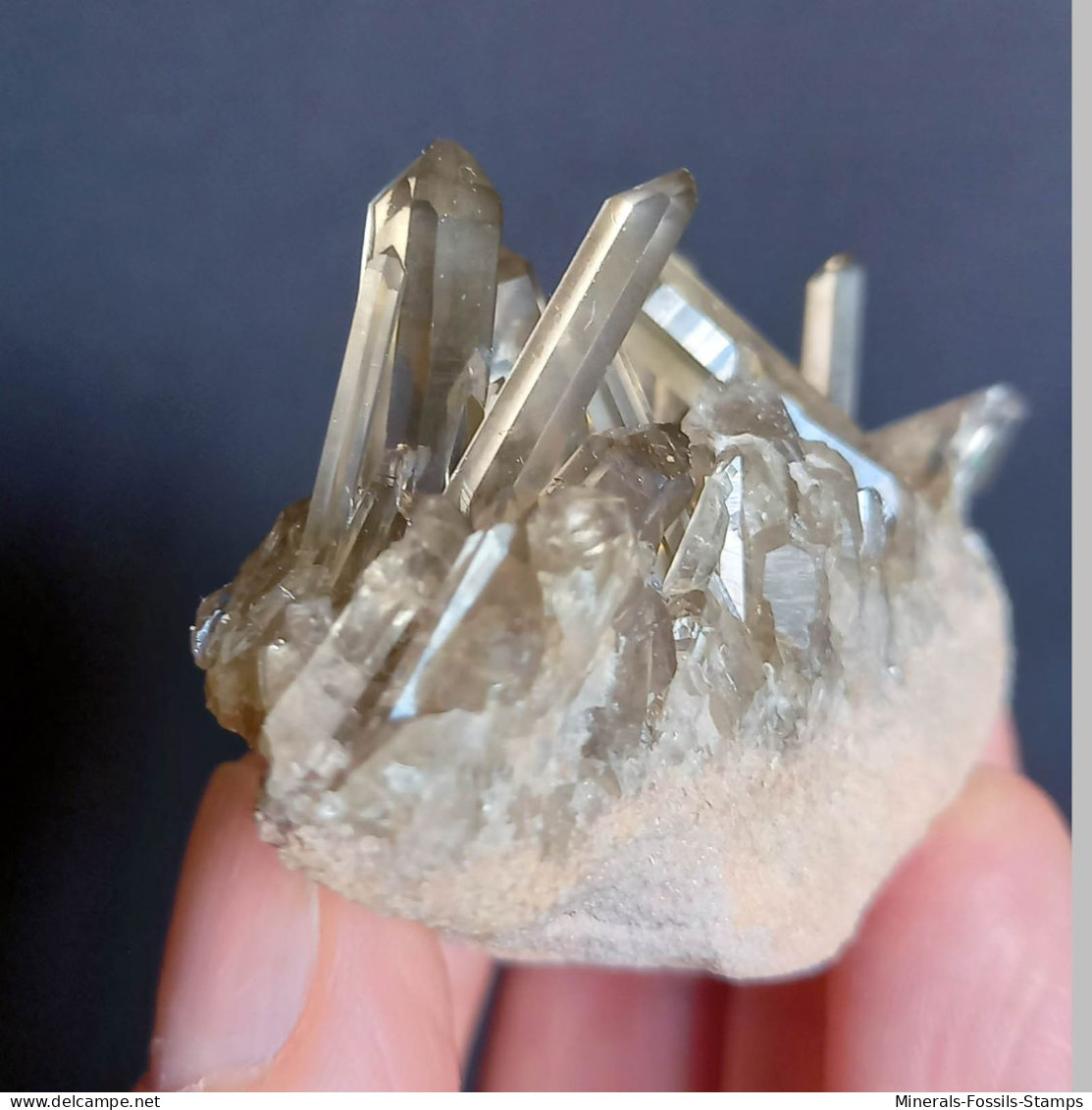 #34 - Beaux cristaux de QUARTZ MORIONE (Kara-Oba W deposit, Moiynkum, Jambyl Region, Kazakhstan)