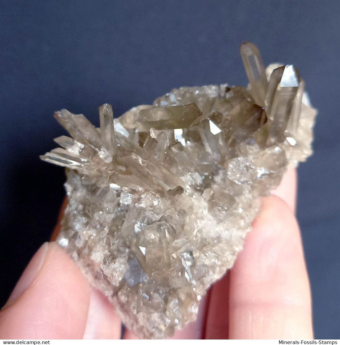 #34 - Beaux cristaux de QUARTZ MORIONE (Kara-Oba W deposit, Moiynkum, Jambyl Region, Kazakhstan)