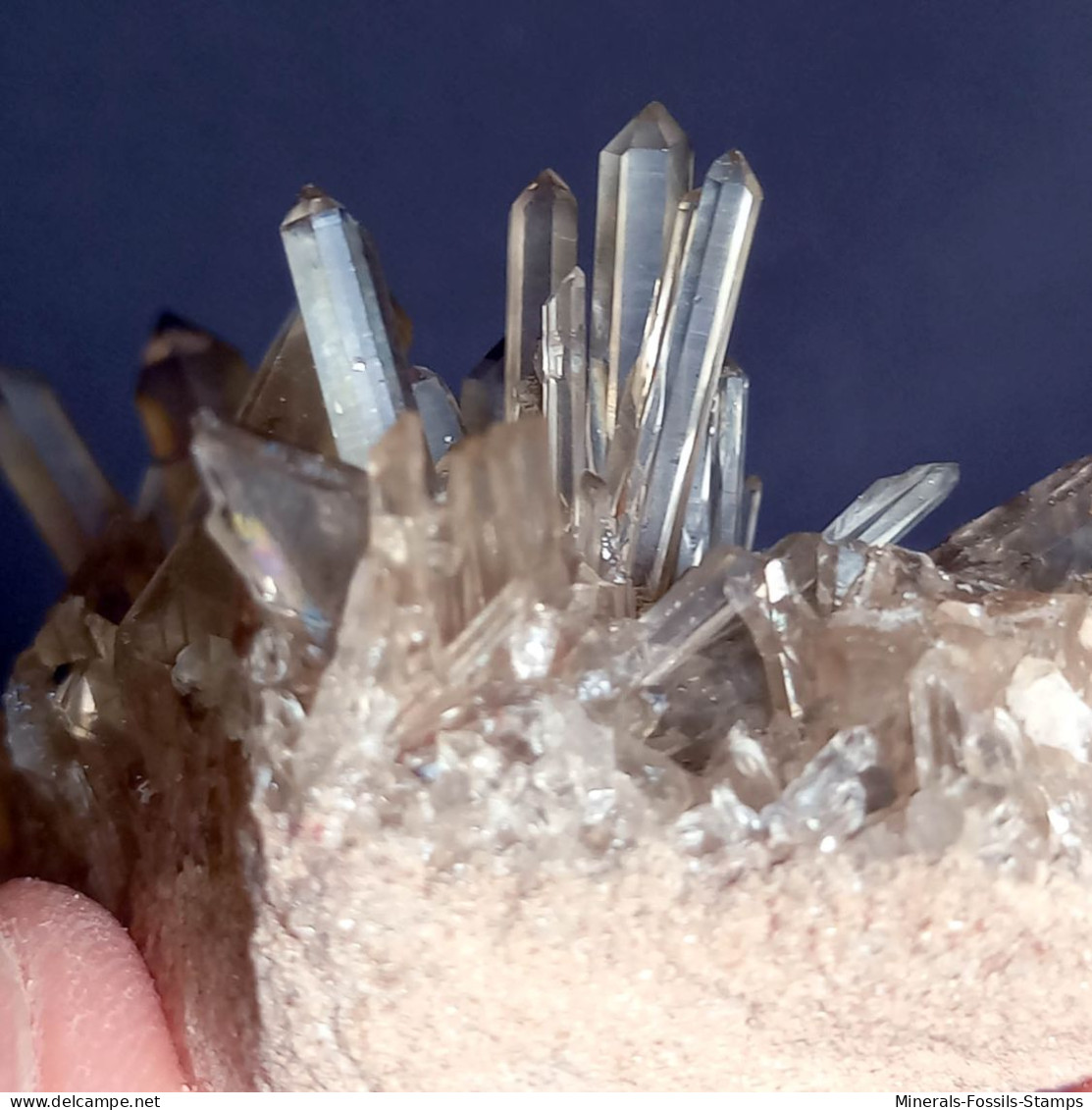 #34 - Beaux cristaux de QUARTZ MORIONE (Kara-Oba W deposit, Moiynkum, Jambyl Region, Kazakhstan)