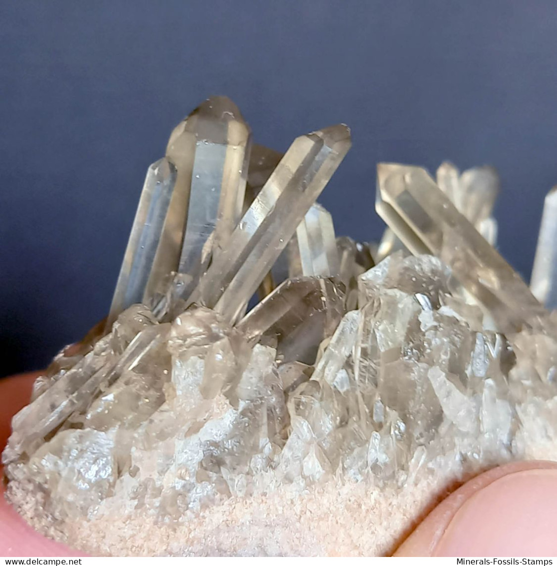 #34 - Beaux cristaux de QUARTZ MORIONE (Kara-Oba W deposit, Moiynkum, Jambyl Region, Kazakhstan)